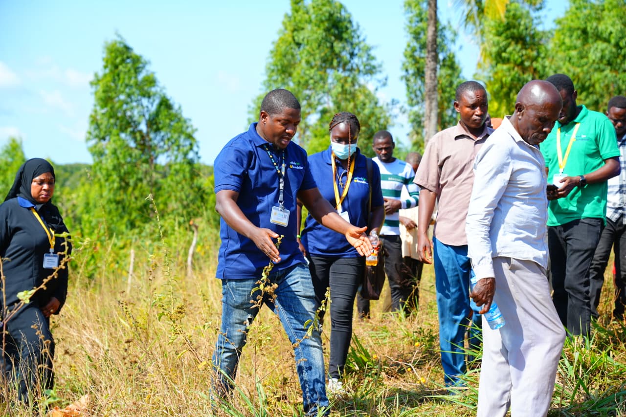 Zeinabiya Foundation field work photograph 68